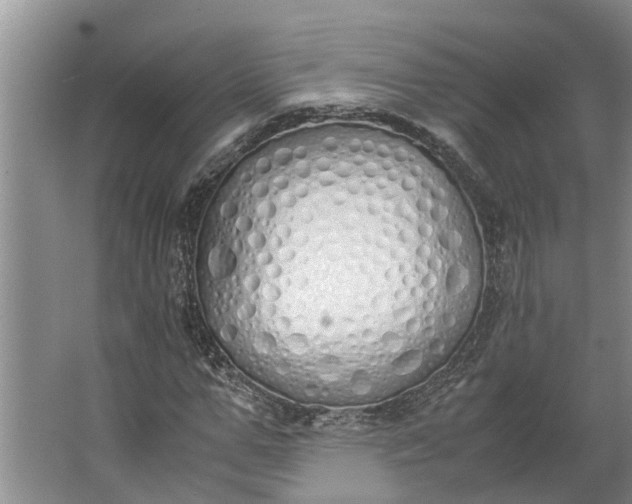 X0000062900967200601271709