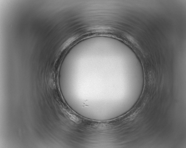 X0000062900970200601271709