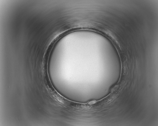 X0000062900975200601271709