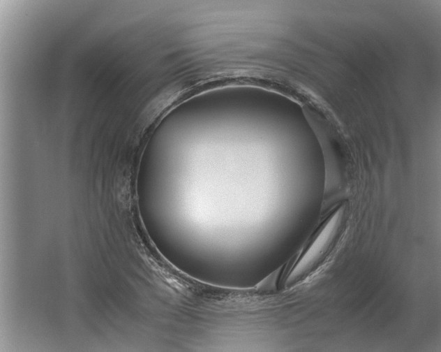 X0000062900977200601271709