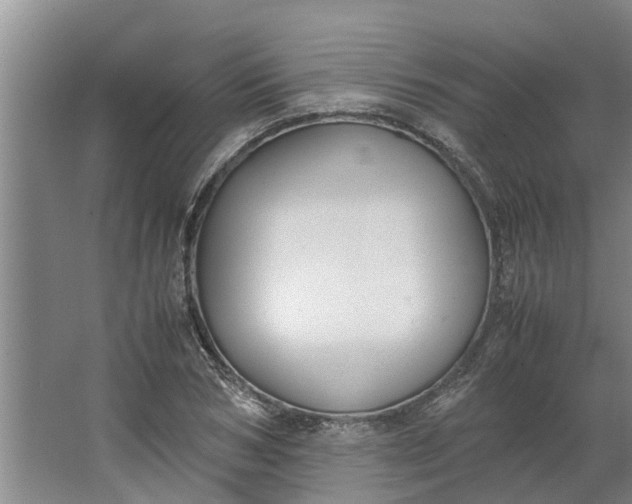 X0000062900978200601271709