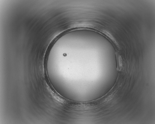 X0000062900980200601271709