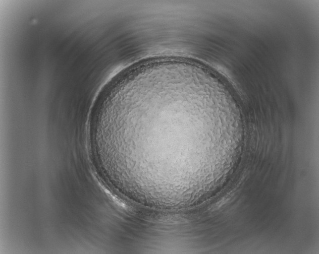 X0000062900982200601271709