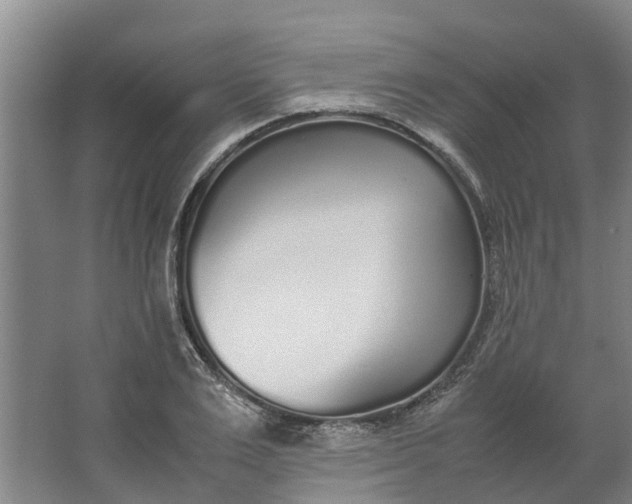 X0000062900983200601271709