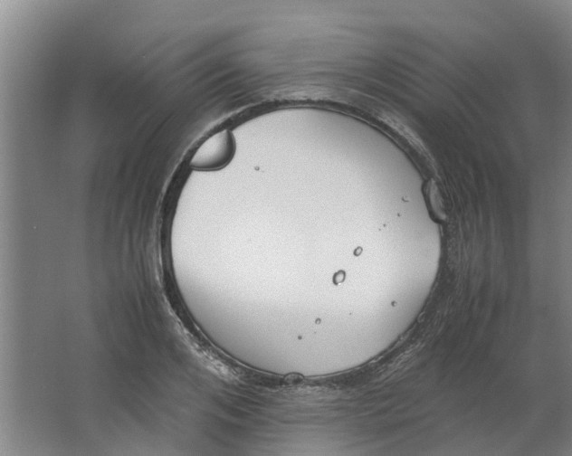 X0000062900984200601271709