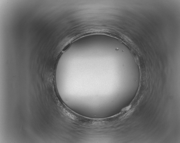 X0000062900985200601271709