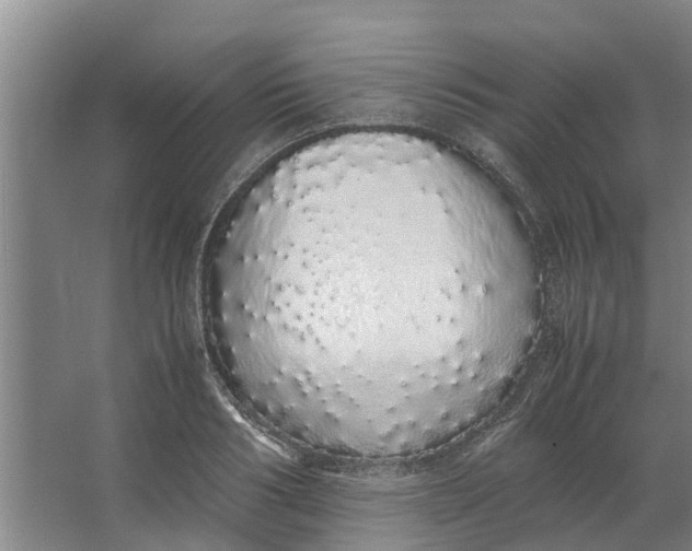 X0000062900986200601271709