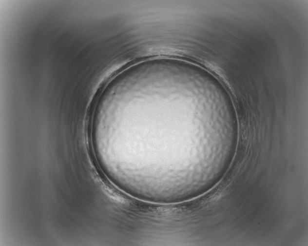 X0000062900987200601271709