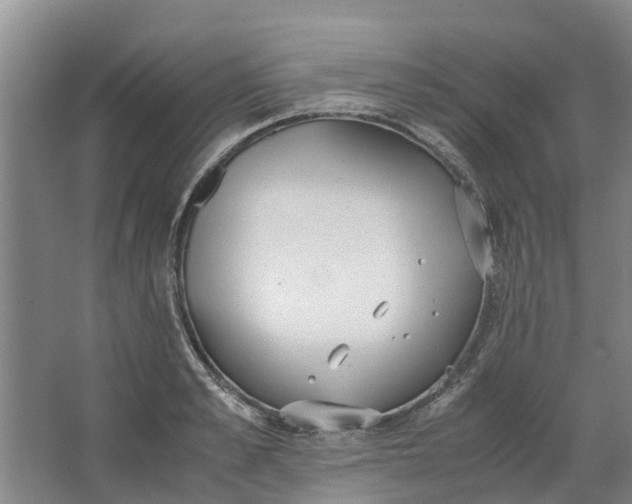 X0000062900989200601271709