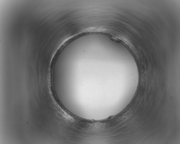 X0000062900992200601271709