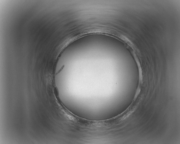 X0000062900993200601271709