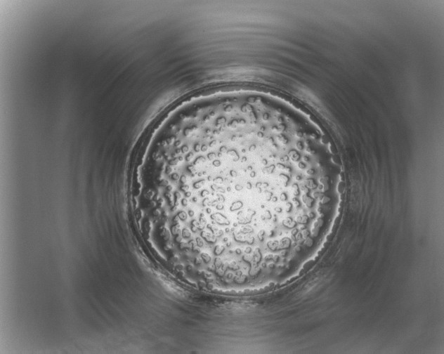 X0000062900994200601271709