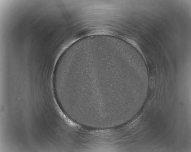 X0000062900995200601271709