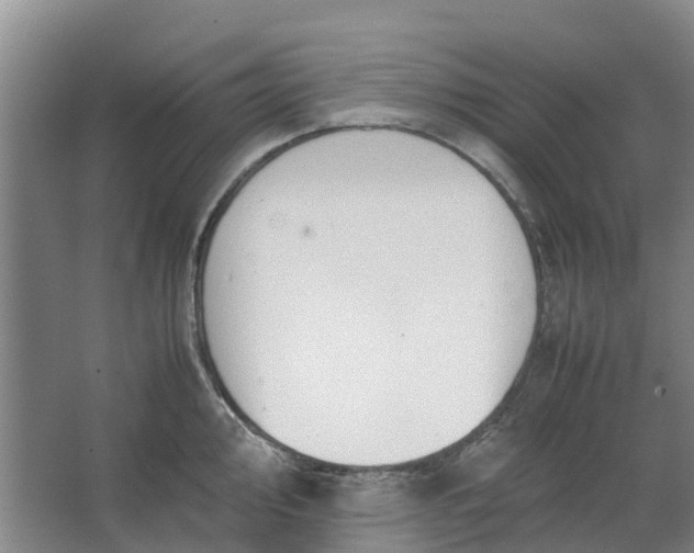 X0000062901000200601271709