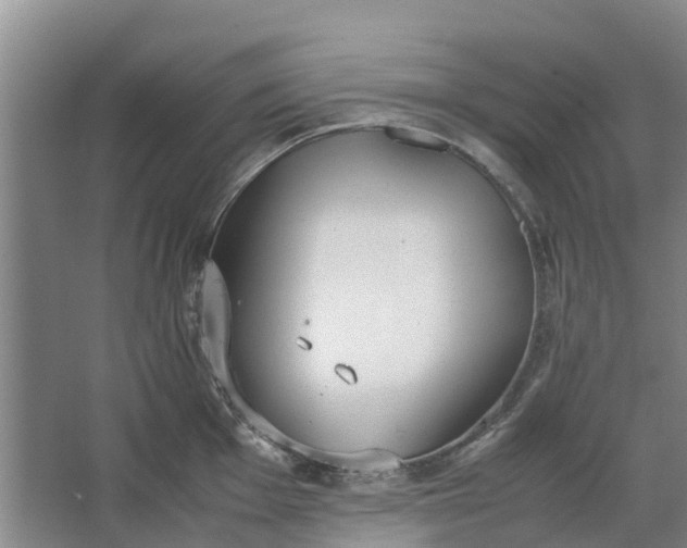 X0000062901001200601271709