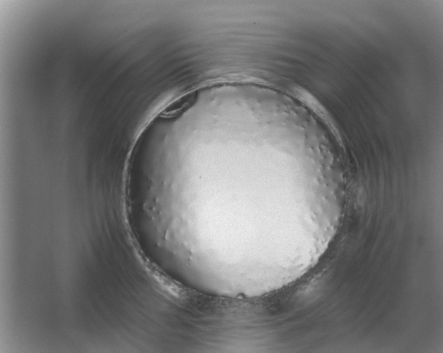 X0000062901002200601271709