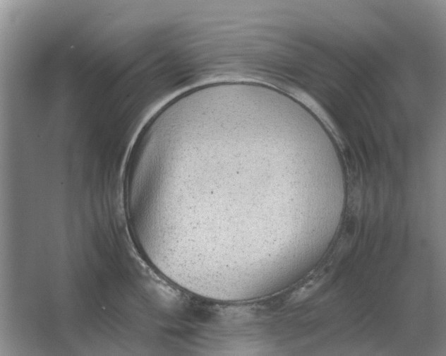 X0000062901004200601271709