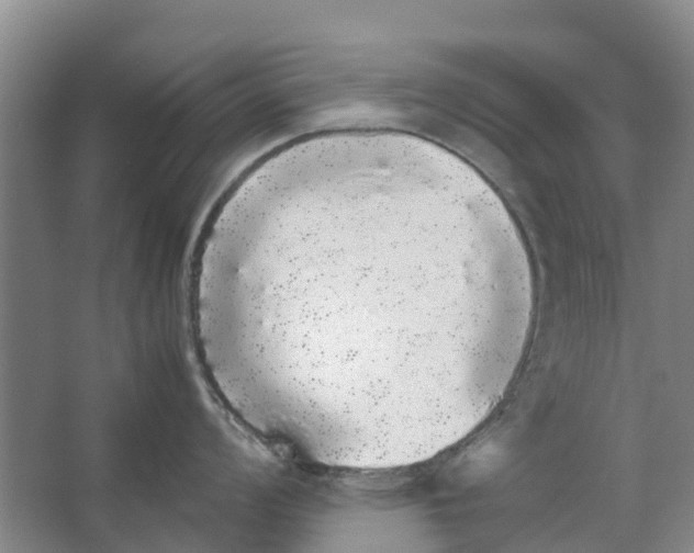 X0000062901008200601271709