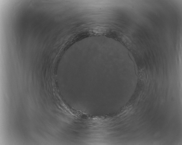 X0000062901009200601271708