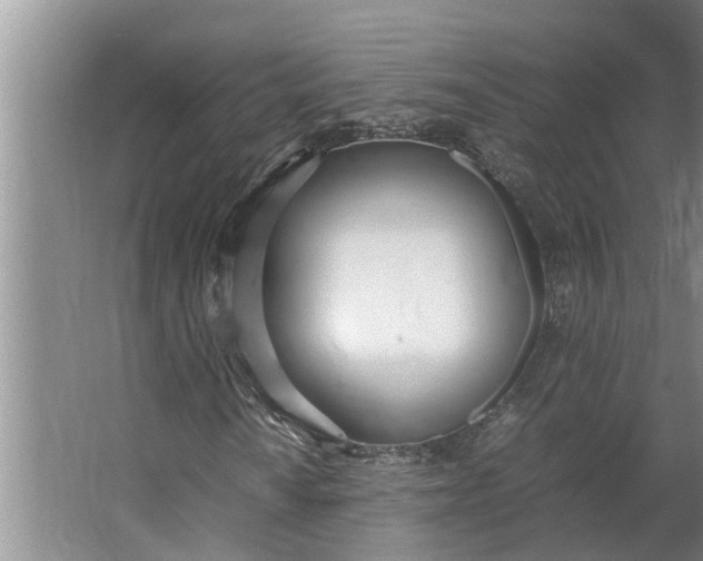 X0000062901010200601271708