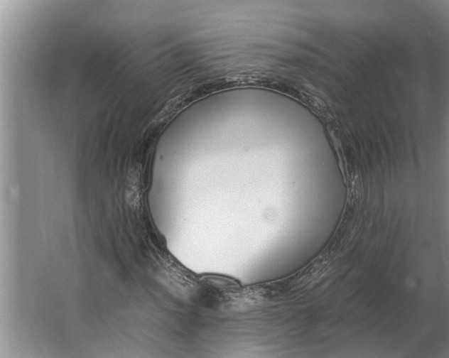 X0000062901012200601271708