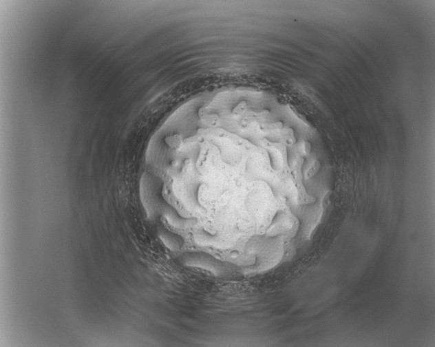 X0000062901015200601271708