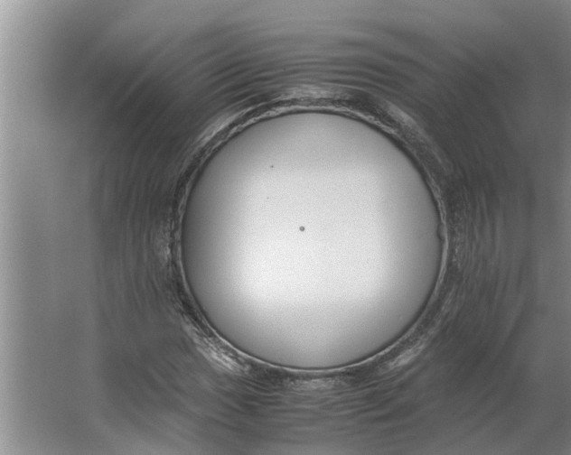 X0000062901017200601271708