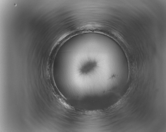 X0000062901018200601271708