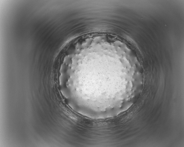 X0000062901019200601271708