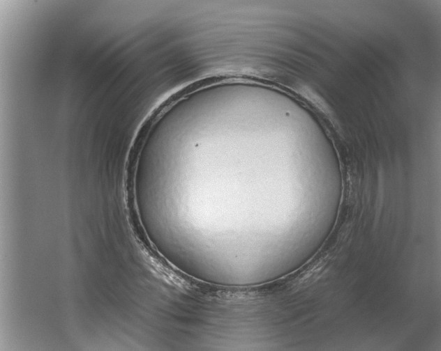 X0000062901020200601271708