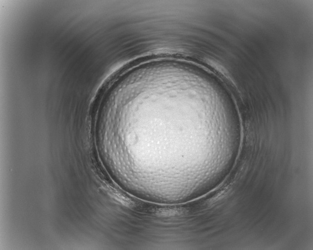 X0000062901021200601271708