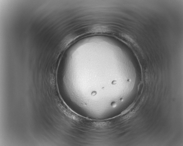 X0000062901025200601271708