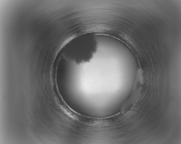 X0000062901026200601271708