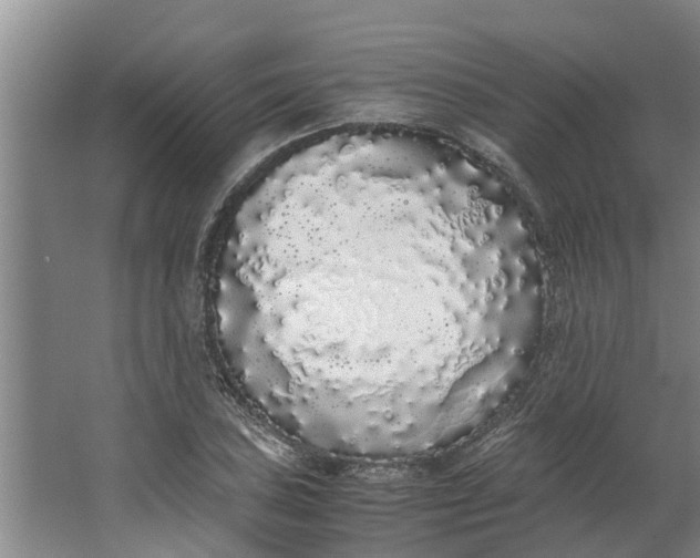 X0000062901027200601271708