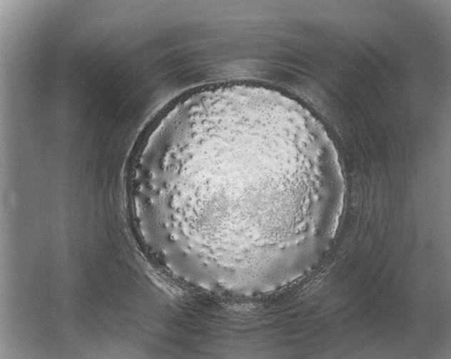 X0000062901031200601271708