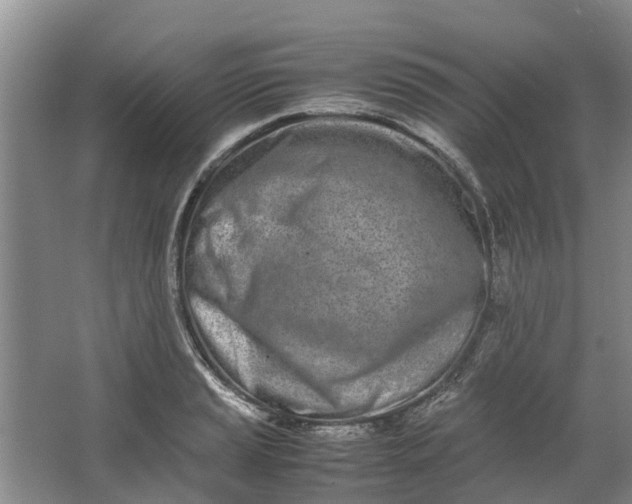 X0000062901037200601271708