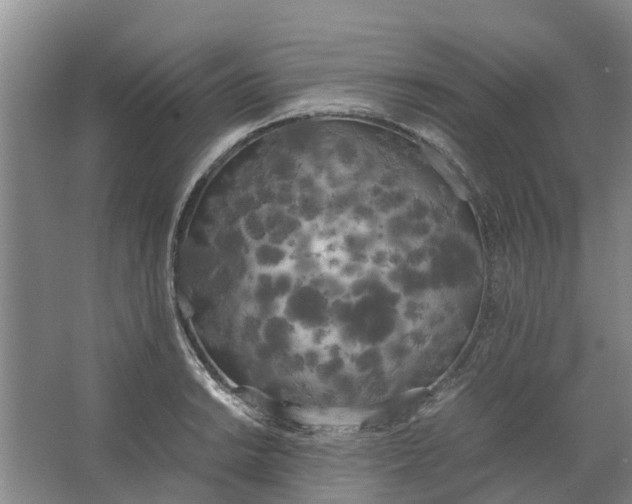 X0000062901038200601271708