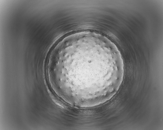 X0000062901039200601271708