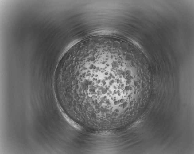 X0000062901042200601271708