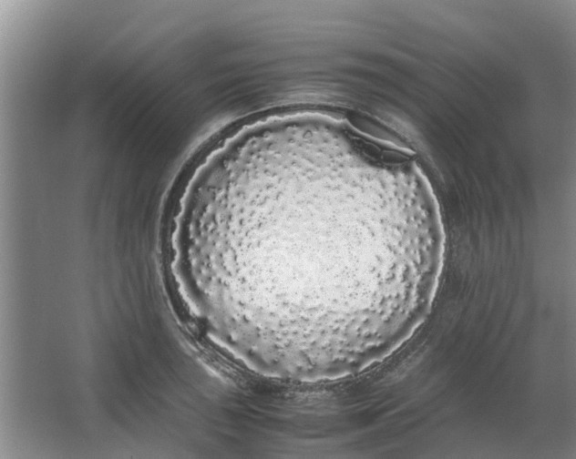 X0000062901043200601271708