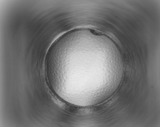 X0000062901044200601271708