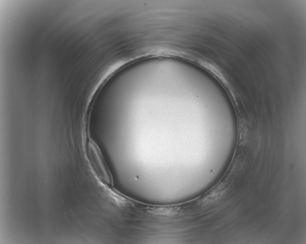 X0000062901048200601271708