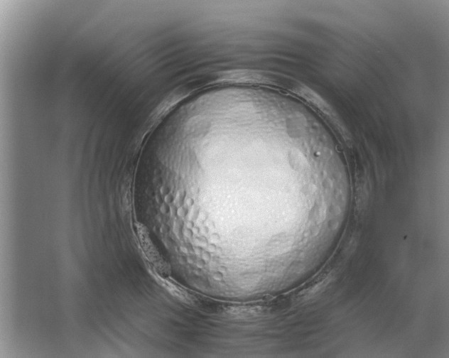 X0000062901049200601271708