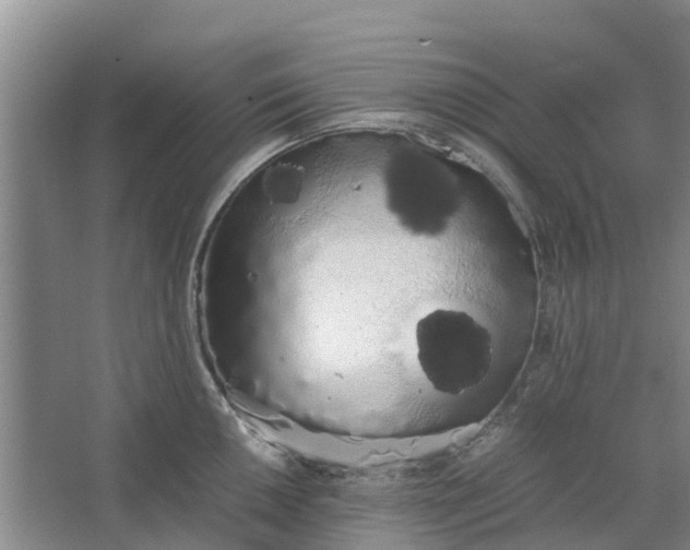 X0000062901050200601271708