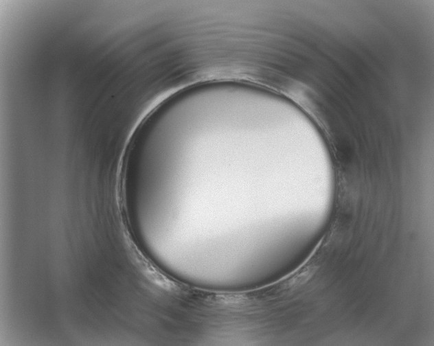 X0000062901052200601271708