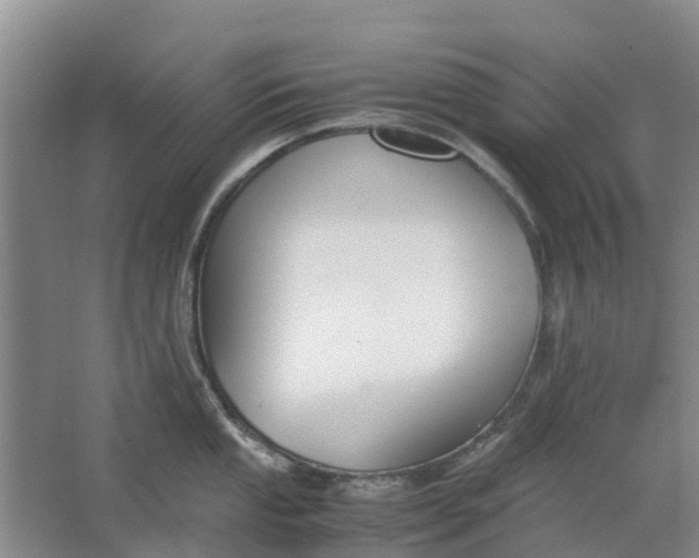 X0000062901053200601271708