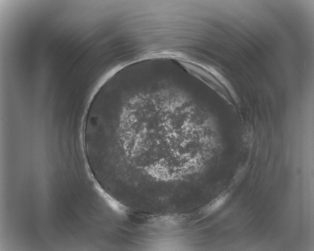 X0000062901054200601271708