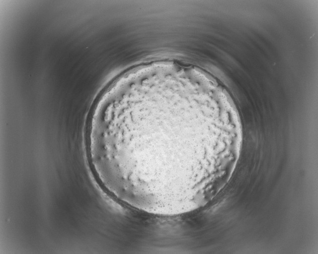 X0000062901055200601271708