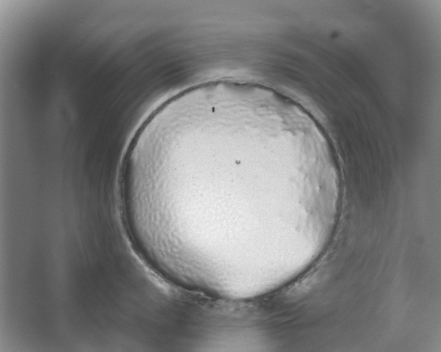 X0000062901056200601271708