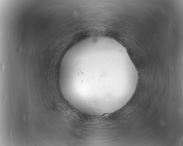 X0000062901057200601271708